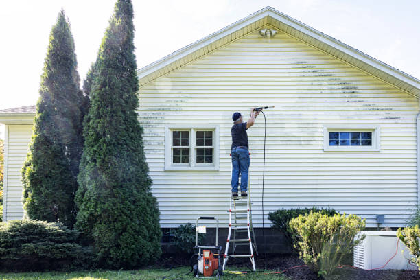 Why Choose Our Certified Pressure Washing Experts for Your Project Needs in Doctor Phillips, FL?