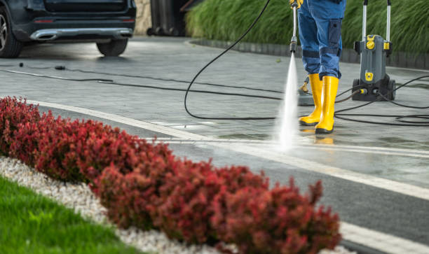 Deck Cleaning Services in Doctor Phillips, FL