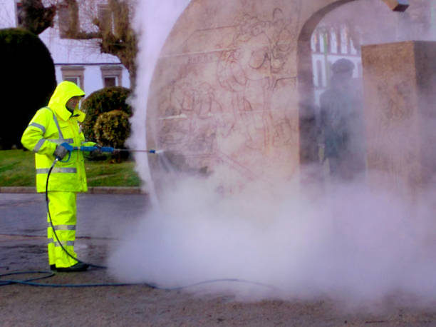 Best Residential Pressure Washing Services  in Doctor Phillips, FL