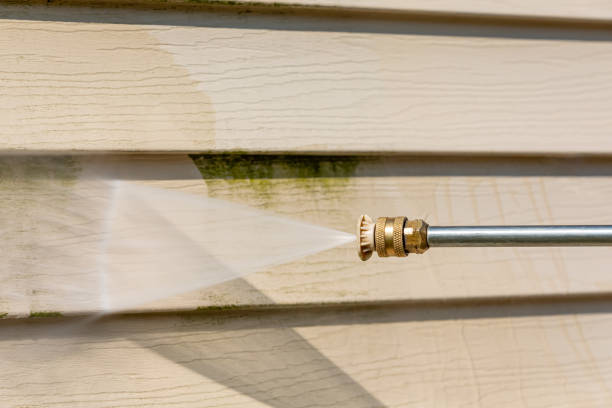 Best Affordable Pressure Washing  in Doctor Phillips, FL