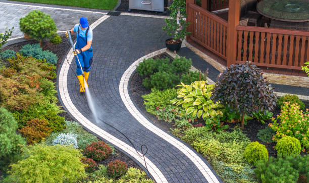 Local Pressure Washing Services in Doctor Phillips, FL