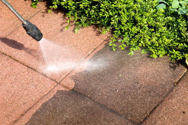 Trusted Doctor Phillips, FL Pressure Washing Experts